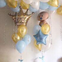 коронаипупс